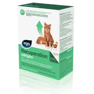 Viyo Recuperation Gato