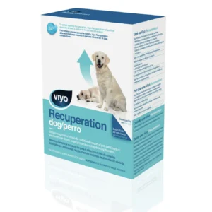 Viyo Recuperation Perro