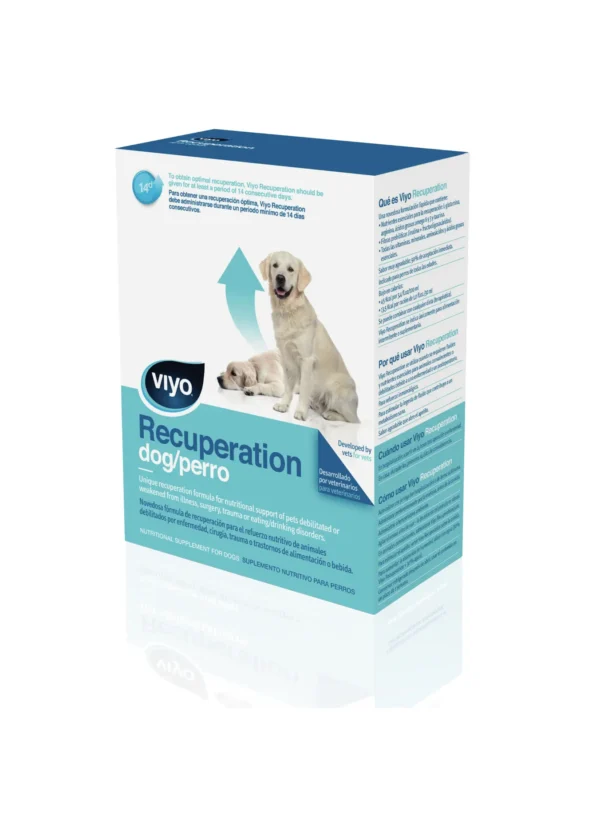 Viyo Recuperation Perro