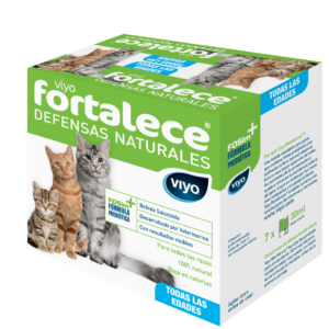 Viyo Fortalece Gato